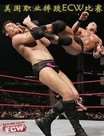 ECWְҵˤѸ