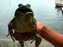 Ҽȵ!!!Ѹ
