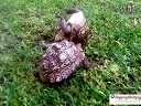 ʷ(ܱݸȿ)youtubeÿƵvideo.bioops.infoBT