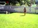 (ЦƵ)СŮ youtubeÿƵvideo.bioops.infoBT