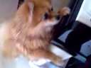 ᵯ٣!!!Ц˲!!!BT