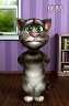Talking Tom LeeѸ
