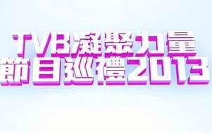 TVB2013ĿѲѸ