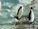 Ķ!˹ȪƭӽʾЩɾѸ