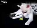 ʺıЦӦBT