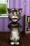 talkingtom ֮ Ѹ