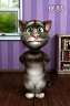 gogocatBT