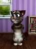 talking tomڶѸ