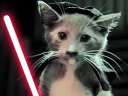 Jedi Kittens Strike BackѸ