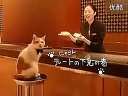 ˼è ձRecruitèѸ