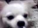 溱ϵС԰ǵĹѸ