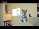 Kittens 0Ѹ