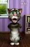 tom!!BBͳ!!!!ȸBT