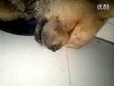 ʨ˯з֢,ͣ,˯Ѹ