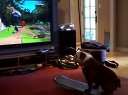 ʲôֵ PS3ƽ̨:Tony Hawk: Ride ߻ͬ  16.76ԪѸ