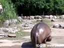 ()ĵĴ!Ѹ