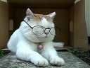 è塹2011.08.17R Reading glassesBT