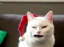 贫,Цʥècat!!!!Ѹ