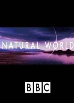 BBCȻѸ