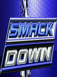 SD-WWE2013Ѹ