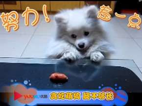 ȵʱ޶BT