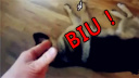 ȳͶ˵ıЦȤ¶Ѹ
