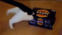 ȷ!ȱЦѸ