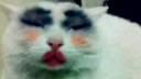 ʷɥĲŰè¼Ѹ