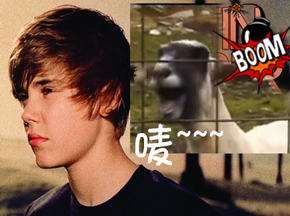 ǹһѧѸ