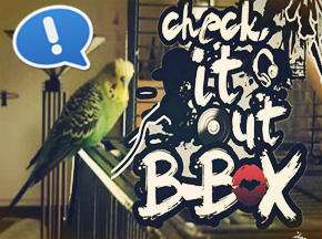 ǿB-boxɧѸ
