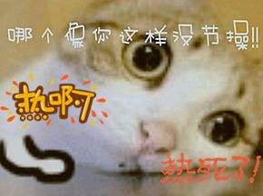 !ѧյٻѸ