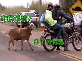 Ϯ޴BT