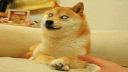 ЦһЦ!ļЦ̬ͼϮBT
