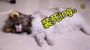 Ц!ϴñӵ77Ѹ