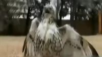 ʵӥձ""׹Ѹ