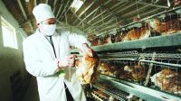 гH7N9Ѹ