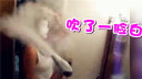 국!ܲˣѸ