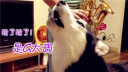 Ц!ȳҲ֡츳Ѹ
