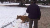 Ա԰ϻΧѸ