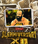TNASlammiversary2014BT