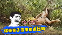 ˾ͼͦһ!Ѹ