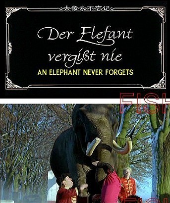  ELEPHANTS NEVER FORGETѸ