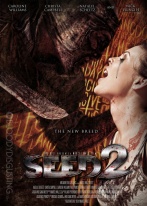 2Ѹ