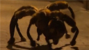 ֩·Ѹ