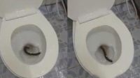 ŮӼͰ־Ѹ