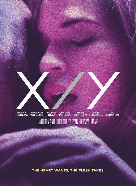 XY X/YѸ