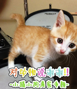 �ٸ��ʵ�̽���� ��лС���� ������������˭������SPBT����