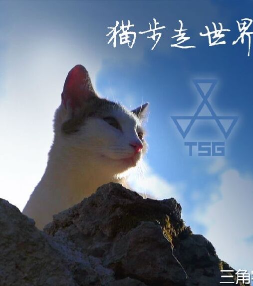 ҺϹѤè~޵ƪBT