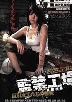 鹤BT