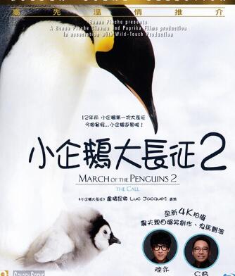 С2BT